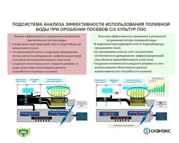 Новость17 4